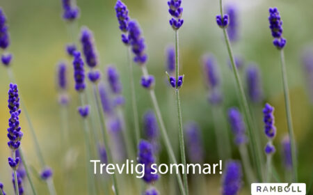 Nyhet hemsidan LB